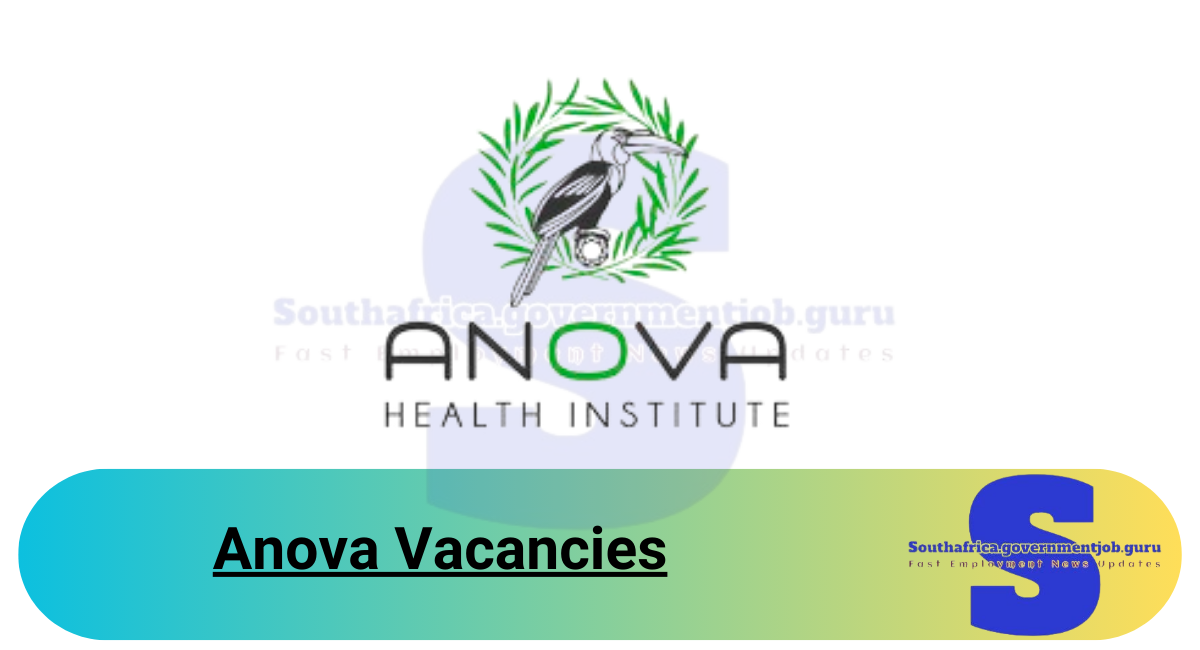 Anova Vacancies